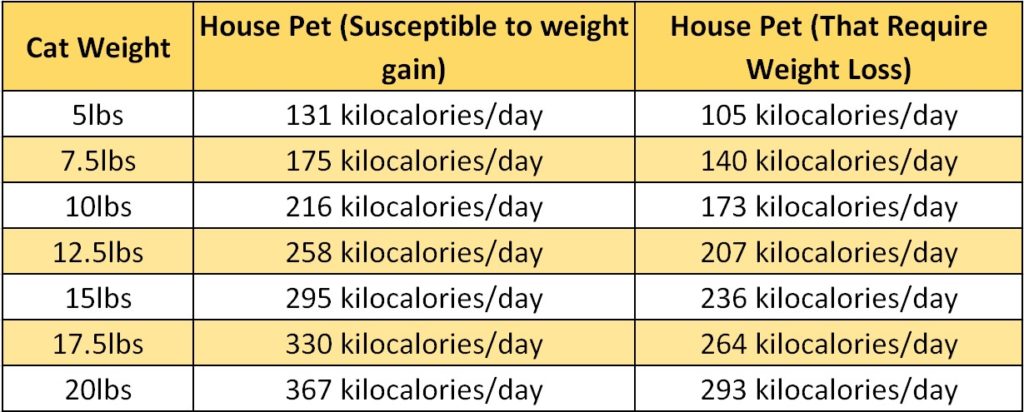 Nutritional requirements of cats for weight loss and weight gain