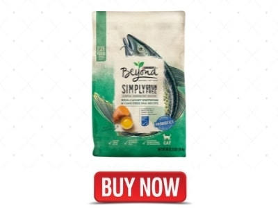 Purina Beyond Grain Free, Natural, Ocean Whitefish & Egg Adult Dry Cat Food