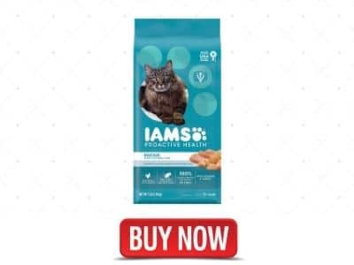 IAMS Hard Dry Cat Food