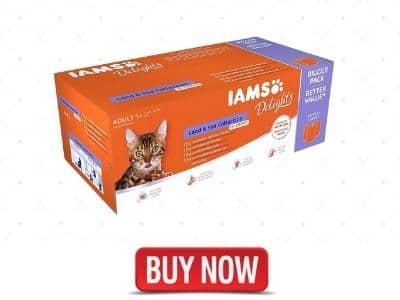 best brand of cat food