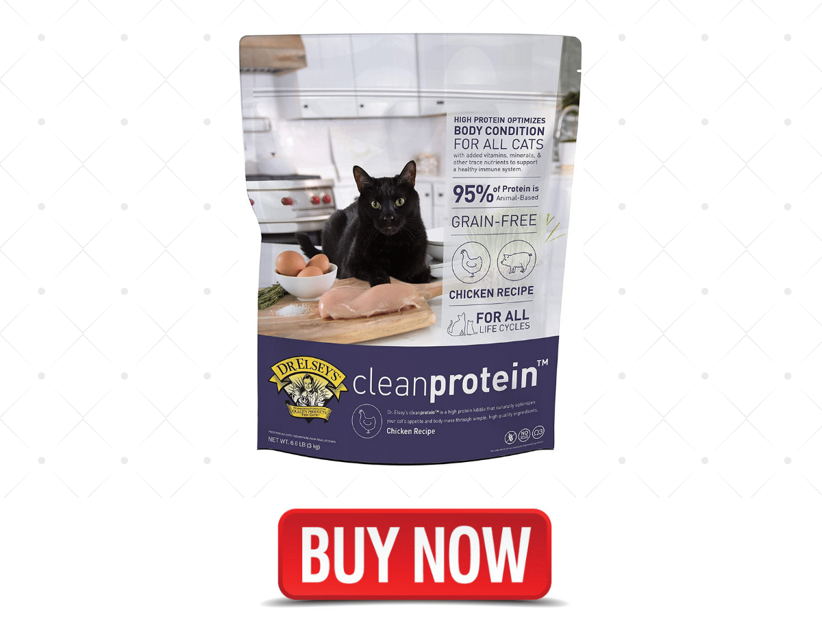8 Best Cat Food Brands for Adults and Kittens (Wet and Dry) Foody Paws