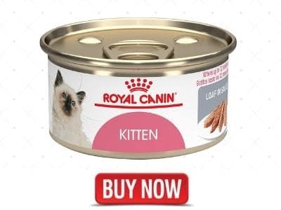 best wet cat food brands for kittens