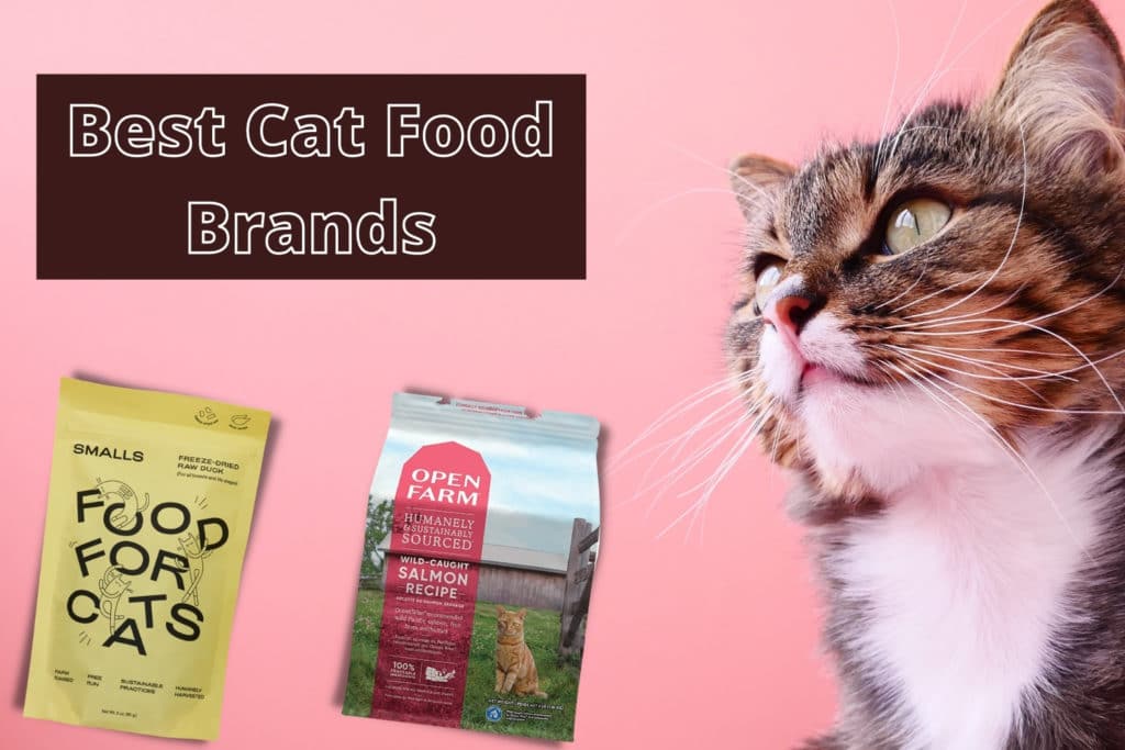 the best cat food brands