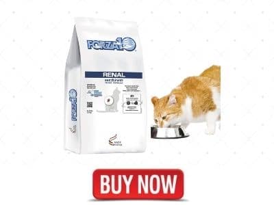 Forza10 Active Kidney Renal Diet Dry Cat Food for Adult Cats, Cat Food Dry for Heart and Kidney Problems