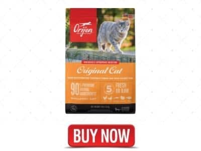Dry Cat Food, Grain Free, Premium Fresh and Raw Animal Ingredients