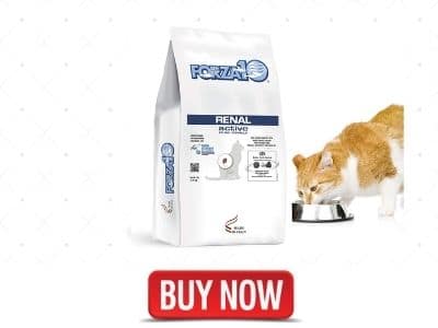Forza10 Active Kidney Renal Diet Dry Cat Food for Adult Cats
