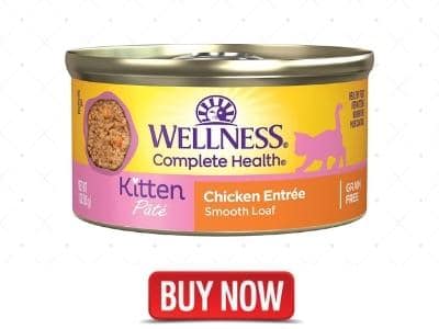 Kitten Canned Wet Cat Food