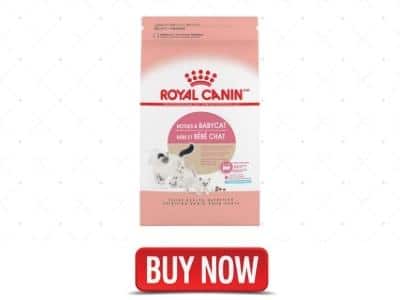 Royal Canin Mother & Babycat Dry Cat Food for Newborn Kittens and Pregnant or Nursing Cats