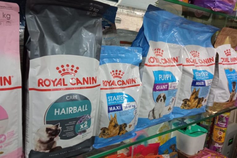 9 Ways to Soften Dry Cat Food? Foody Paws